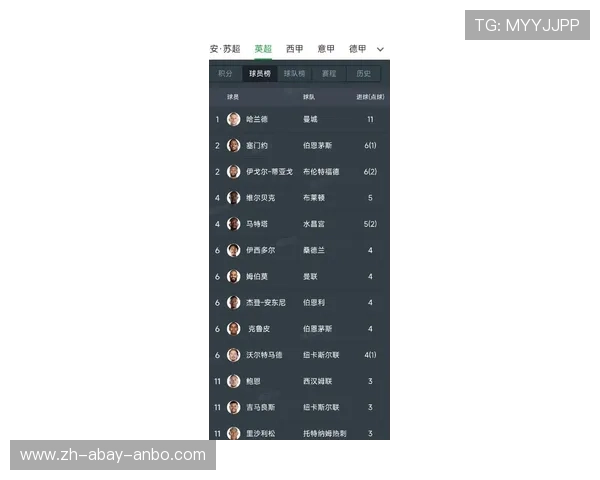 英超FWA记者协会年度最佳球员历届名单揭晓