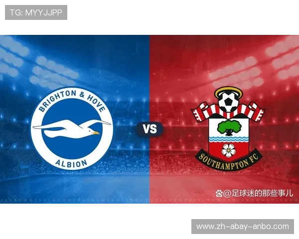 英超南海岸球队介绍