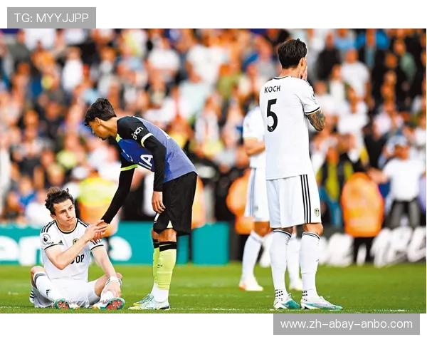 英超降级球队都去哪里了 从英超到英冠的沉浮历程 英超降级球队都去哪里了 从英超到英冠的沉浮历程