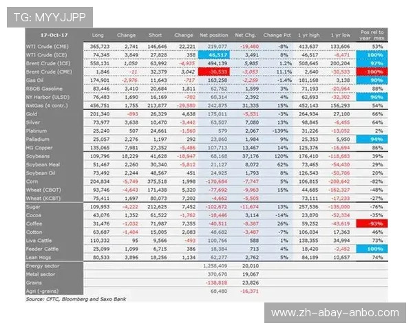 百万持仓认证安奈儿T0完美操作背后的投资体育哲学